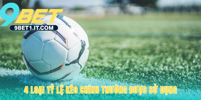 Các loại tỷ lệ kèo chính có logic tính toán riêng biệt