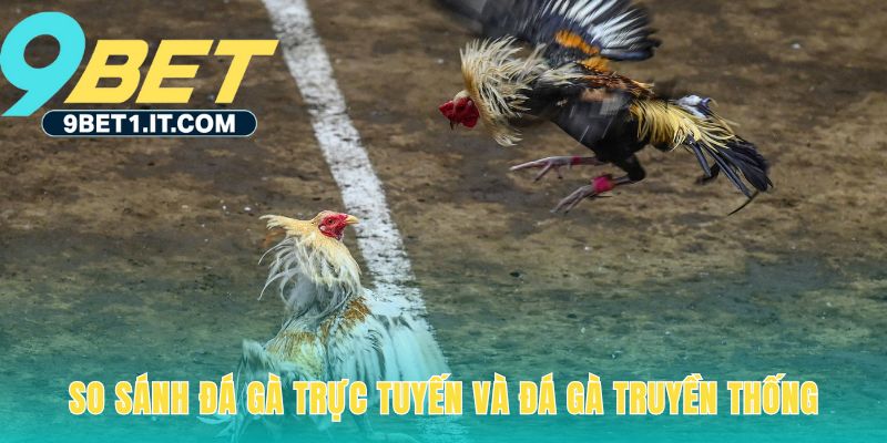 So sánh đá gà trực tuyến nhấn mạnh sự an toàn và tiện lợi