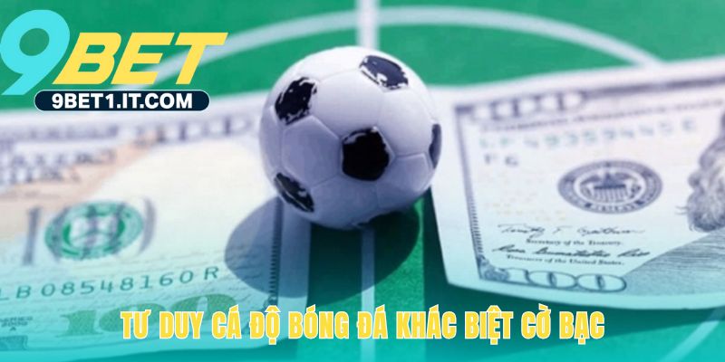 Tư duy cá độ bóng đá chuyên nghiệp dựa trên phương pháp luận