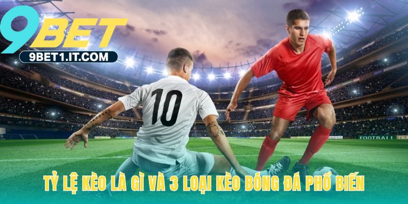 Cách đọc kèo bóng đá chuẩn nhất bắt đầu từ ba loại tỷ lệ chính