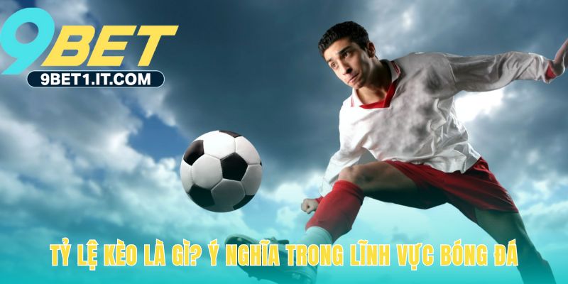 Tỷ lệ kèo phản ánh xác suất và cách tính tiền thắng cược